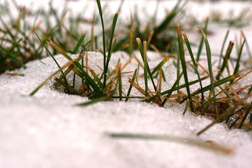 the first snow  freezing  autumn