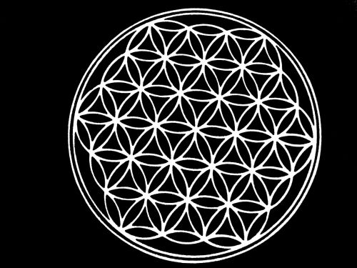 the flower of life black white