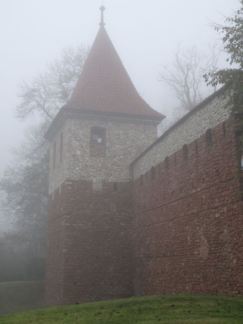 the fog autumn tower