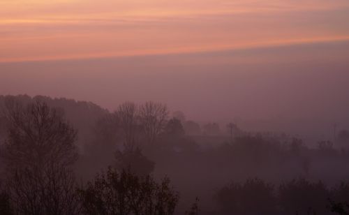 the fog dawn sunrise