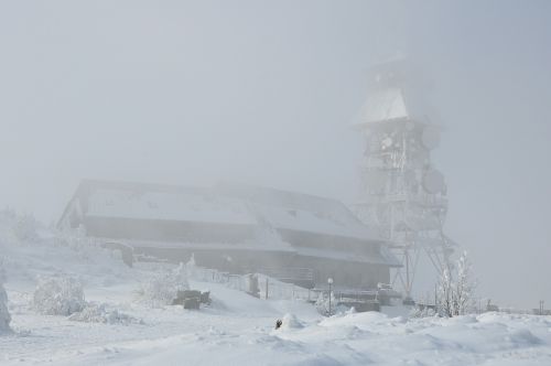 the fog winter snow