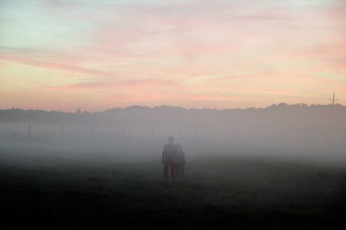 the fog meadow evening