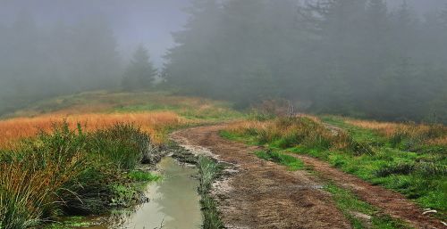 the fog mountains the path