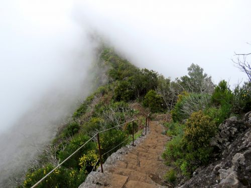 the fog stairs mountains