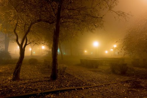 the fog night light