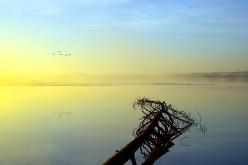 the fog  reflection  landscape