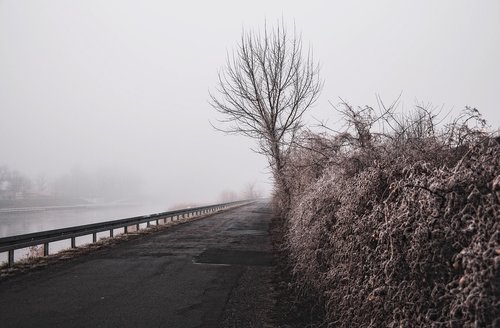 the fog  blurry  morning