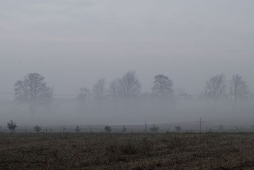 the fog field sky