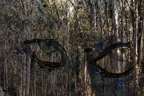 The Forest Has Eyes