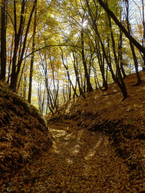 the founding fathers poland the national park