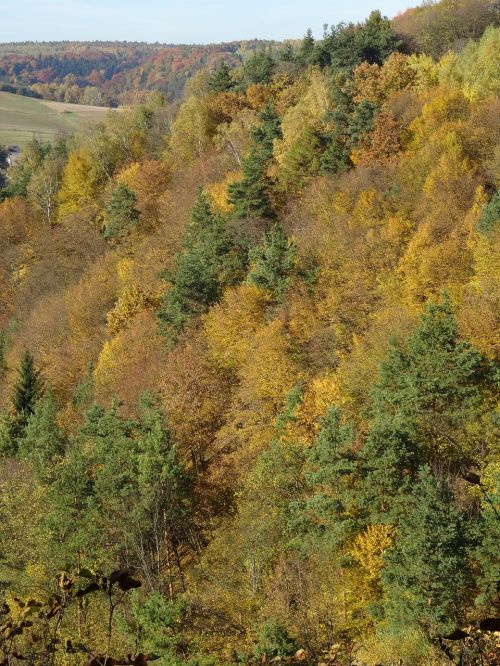 the founding fathers poland the national park