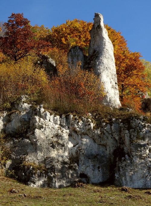 the founding fathers poland landscape