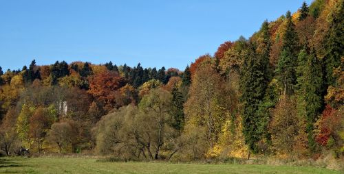 the founding fathers poland landscape