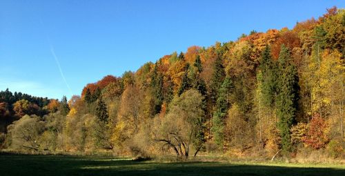 the founding fathers poland landscape