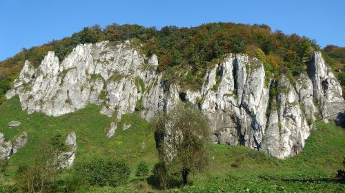 the founding fathers poland the national park