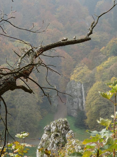 the founding fathers poland the national park