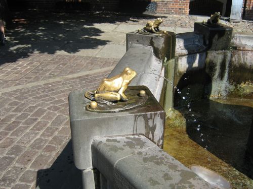 the frog fountain water