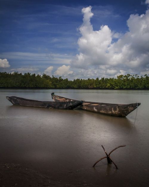 the gambia river boat