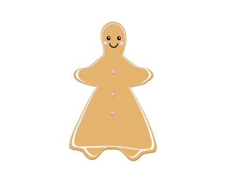 the gingerbread man material fondant cookies