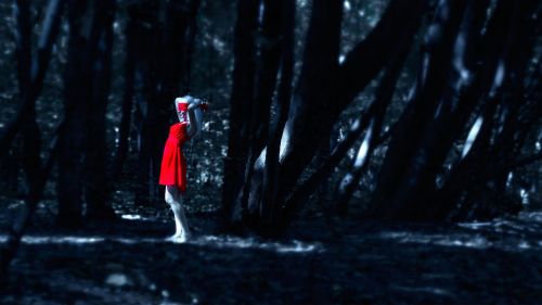 the girl in the red dress in the forest dress dark forest