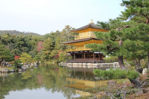 the golden pavilion kyoto japan