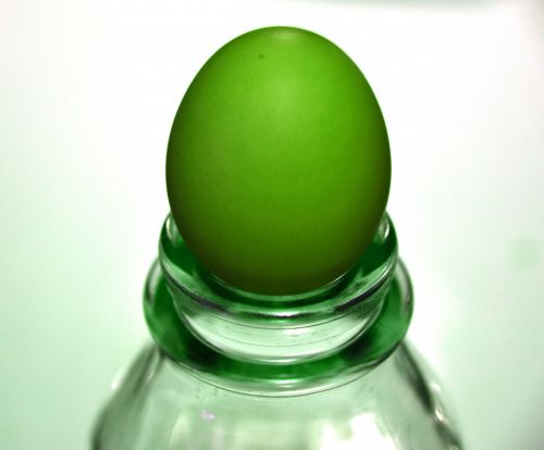 The Green Egg