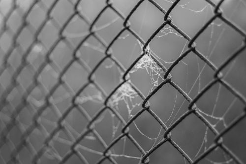 the grid fencing wire