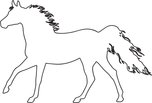 the horse konik galop