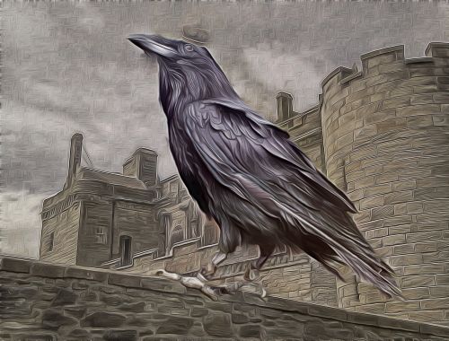 the king of the crows raven castle