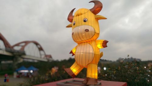 the lantern festival cow flower 燈