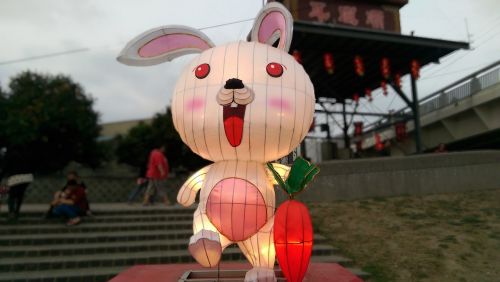 the lantern festival rabbit flower 燈