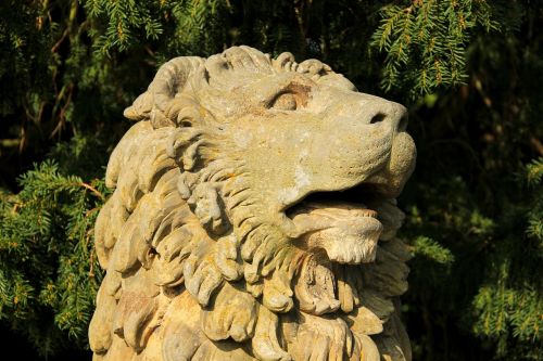 the lion statue detail