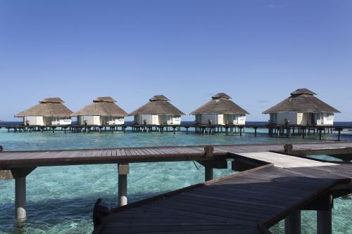the maldives overwater bungalows