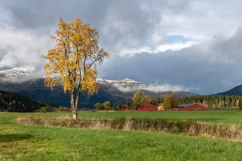 the nature of the  landscape  autumn