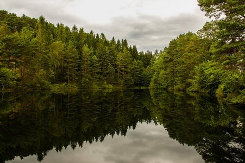 the nature of the  outdoors  three