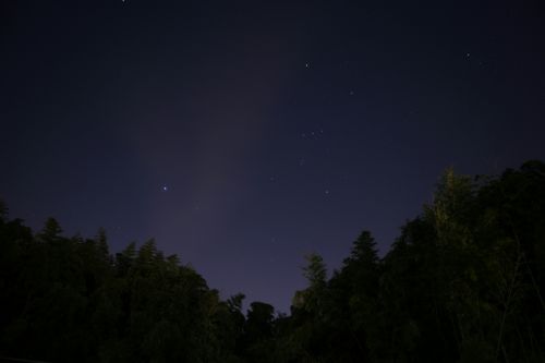 the night sky the rooftop star