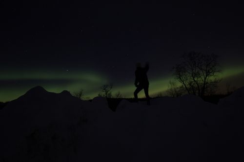 the northern lights night aurora