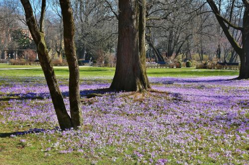 the old botanical garden munich bavaria