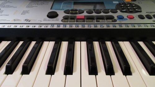 the organ keyboards music