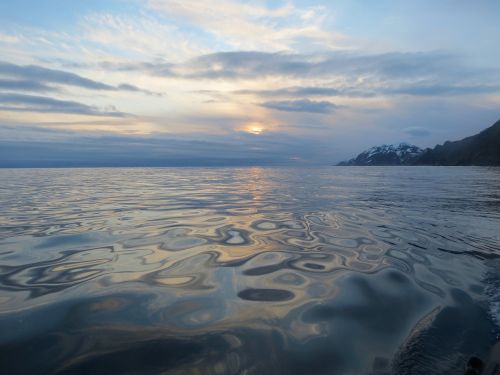 the pacific ocean evening sunset