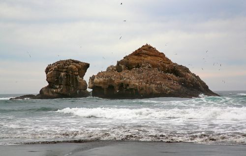 the pacific ocean sea rocks