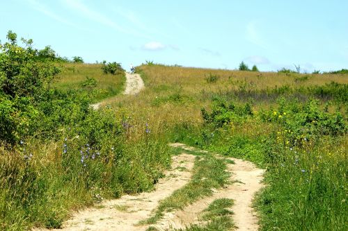 the path meadow way