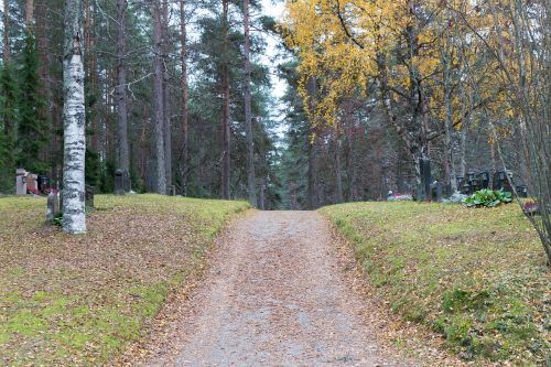 the path nature autumn