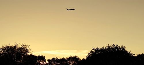 the plane evening sky evening