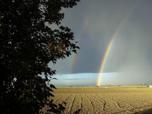 the rainbow campaign gray sky