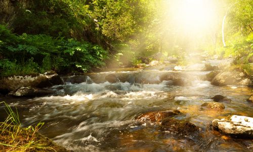 The Rays Of Sun On The Water