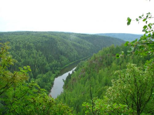 the river koiva open space dahl