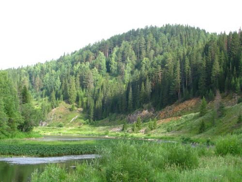 the river koiva open space dahl