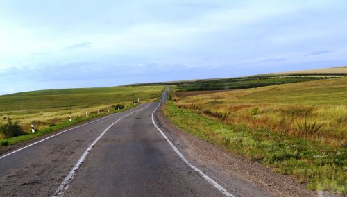 The Road Into The Field