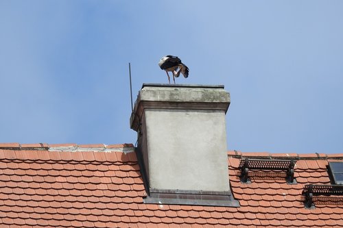 the roof of the  chimney  the stork nest